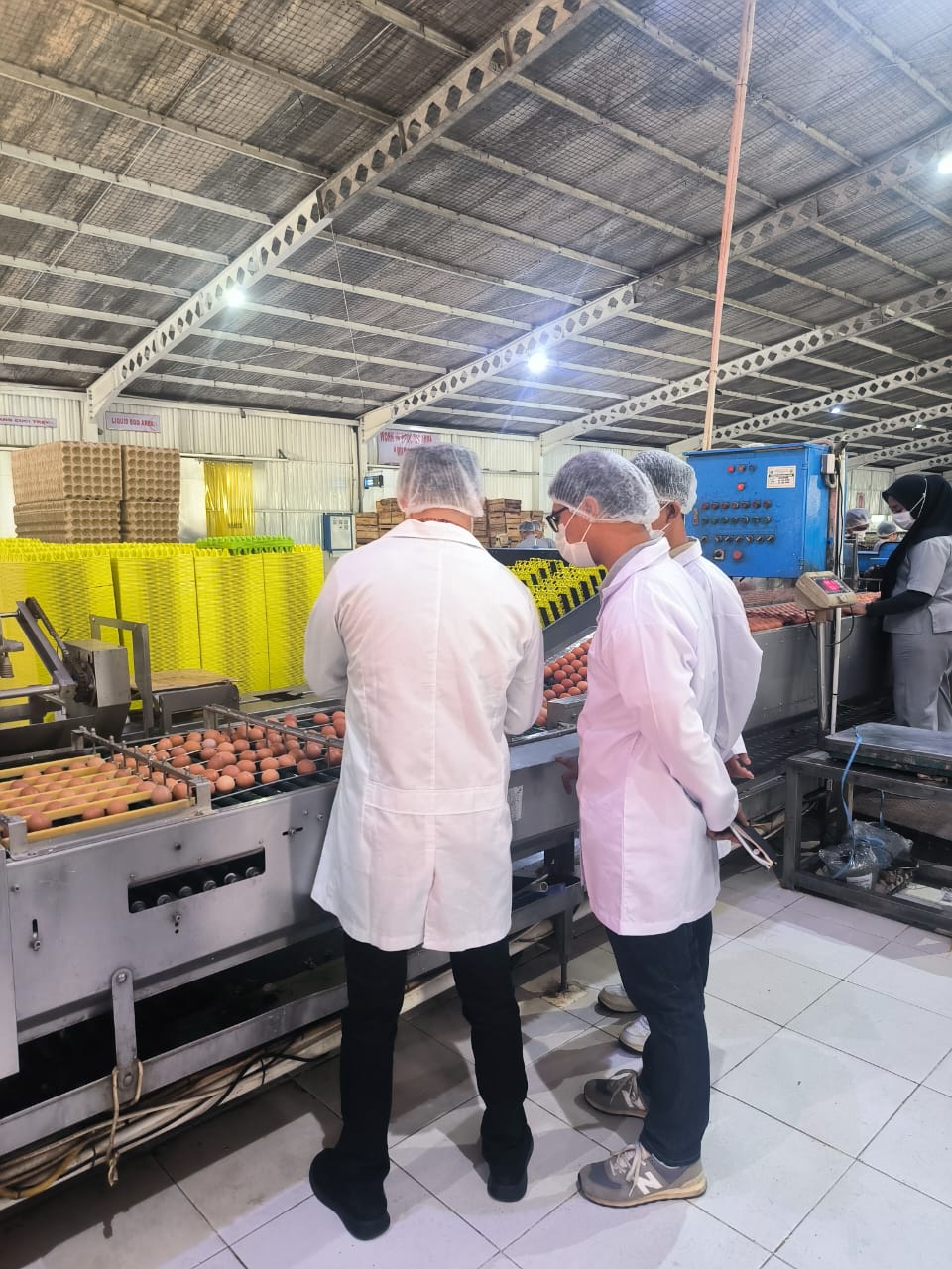 Visit & Audit Supplier